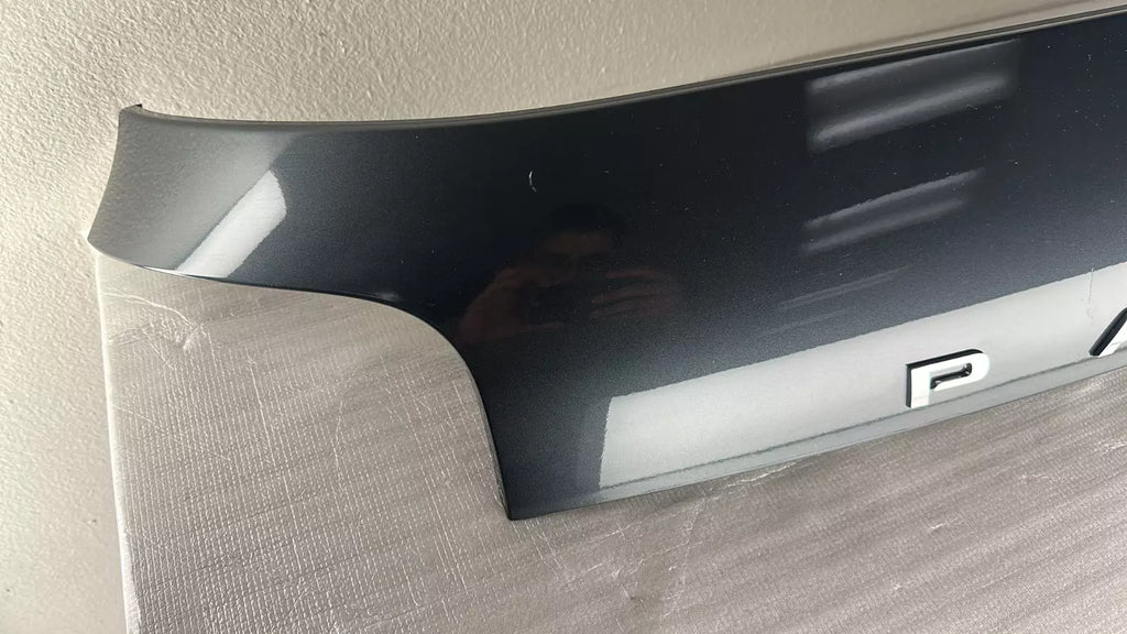 REAR CENTER LIFTGATE FINISH PANEL W/Camera 20-22 HYUNDAI PALISADE 87310S8020R2F