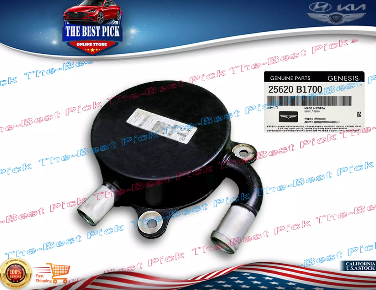 Transmission Mount 21830-F2000 2017-2023 Accent Elantra Kona Veloster Venue Rio