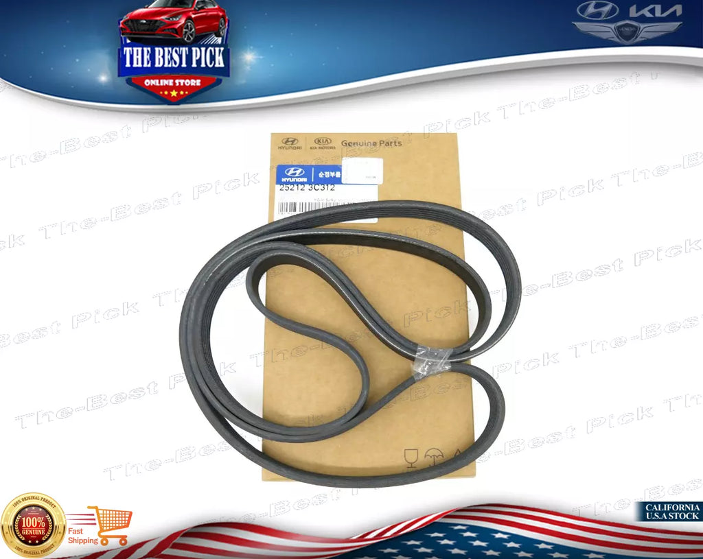 ⭐GENUINE⭐ Serpentine Belt-DIESEL 6PK1695 or 252123C312