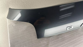 REAR CENTER LIFTGATE FINISH PANEL W/Camera 20-22 HYUNDAI PALISADE 87310S8020R2F