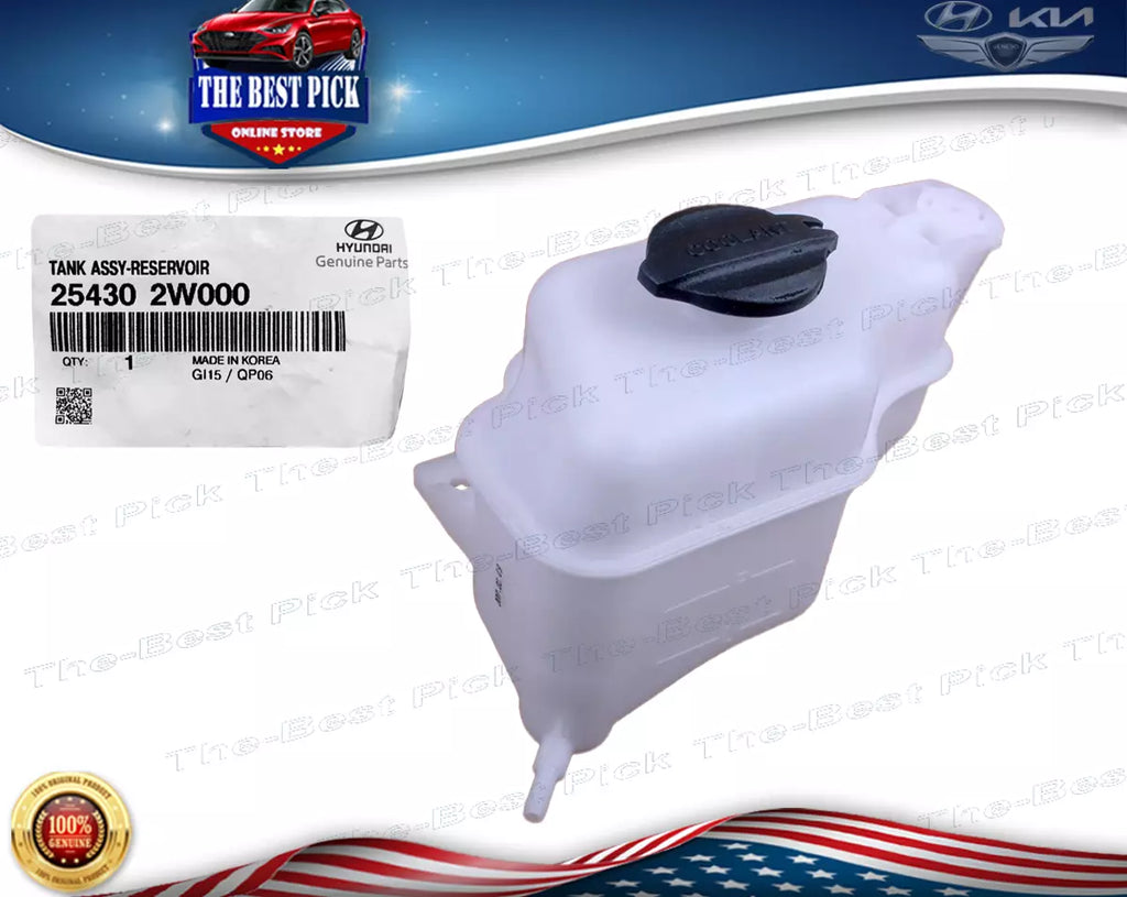 ⭐GENUINE⭐ Radiator COOLANT Reservoir Sorento Sedona Santa Fe 13-19 254302W000