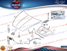 Load image into Gallery viewer, ⭐GENUINE⭐ Hood Lock Latch For 2024 Hyundai Sonata 81130L1501