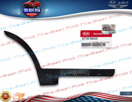 ⭐GENUINE⭐ Kia SELTOS 2020-2023 GARNISH Molding REAR DOOR SIDE RH 87734Q5010
