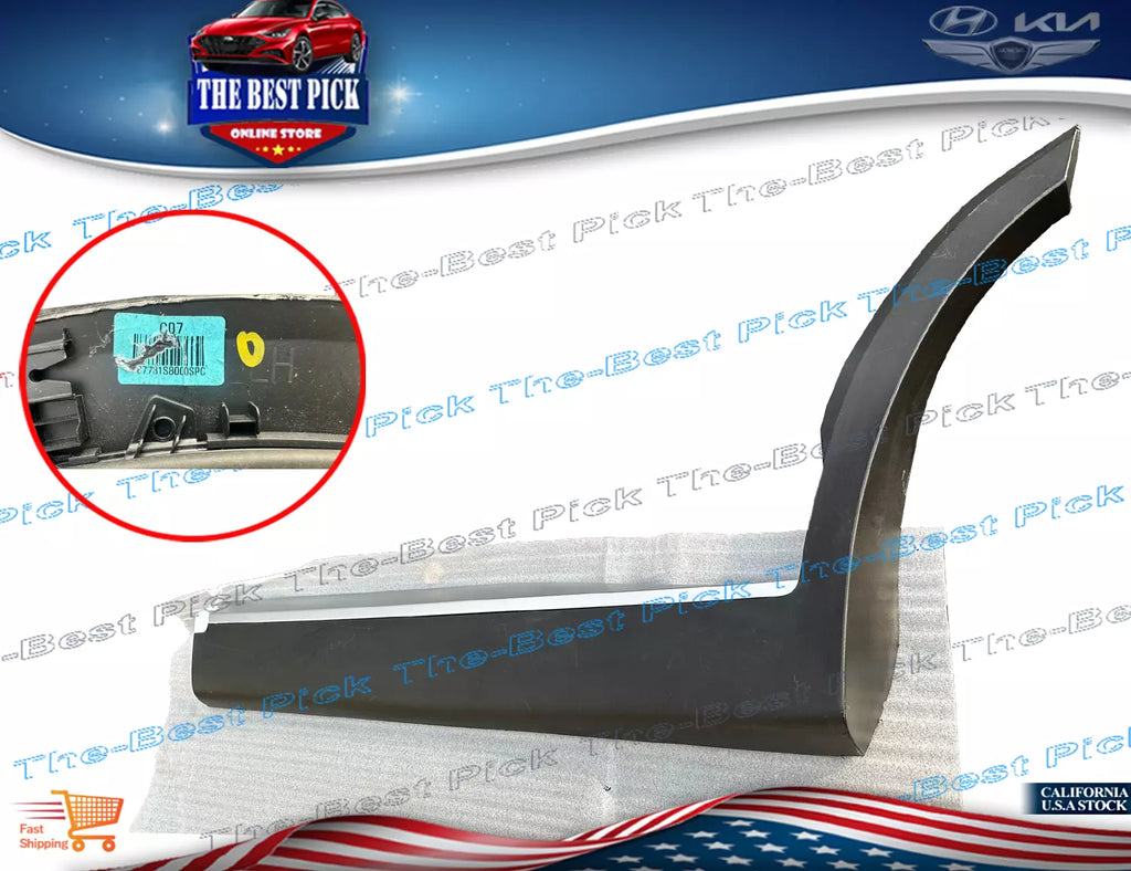 ⭐ REAR Door Lower Molding LEFT DRIVER For Palisade 2020-2022 87731S8000SPC