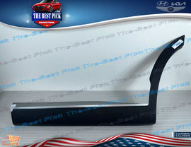2020-2022 Palisade ⭐GENUINE⭐ REAR Door Lower Molding LEFT DRIVER 87731S8000 SPC