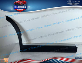 2020-2022 Palisade ⭐GENUINE⭐ REAR Door Lower Molding RIGHT SIDE 87732S8000 SPC