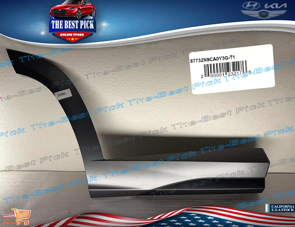 22-23 Tucson N-Line ⭐GENUINE⭐ REAR Door Lower Molding RIGHT SIDE 87732N9CA0 Y3G