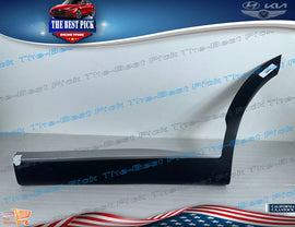 2020-2022 Palisade ⭐GENUINE⭐ REAR Door Lower Molding LEFT DRIVER 87731S8000 SPC