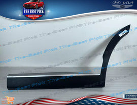 2020-2022 Palisade ⭐GENUINE⭐ REAR Door Lower Molding LEFT DRIVER 87731S8000 SPC