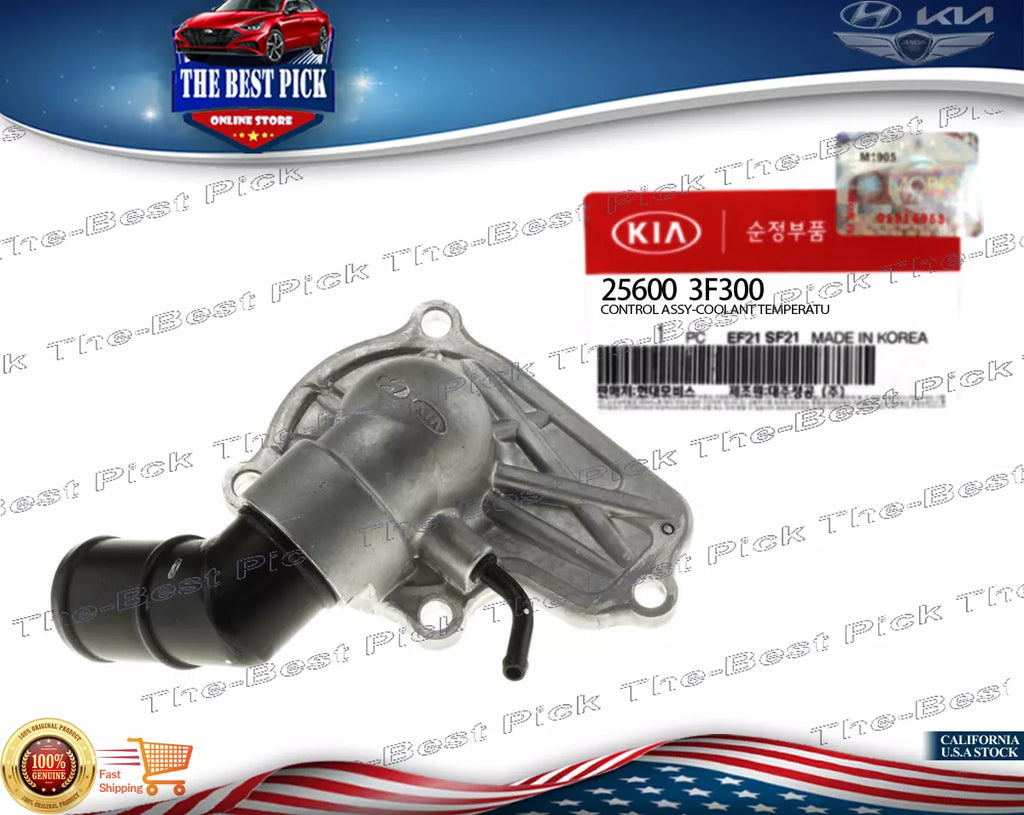 ⭐GENUINE⭐ COOLANT THERMOSTAT FOR 2009 BORREGO 09-14 GENESIS EQUUS 256003F300