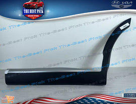 2020-2022 Palisade ⭐GENUINE⭐ REAR Door Lower Molding LEFT DRIVER 87731S8000 SPC