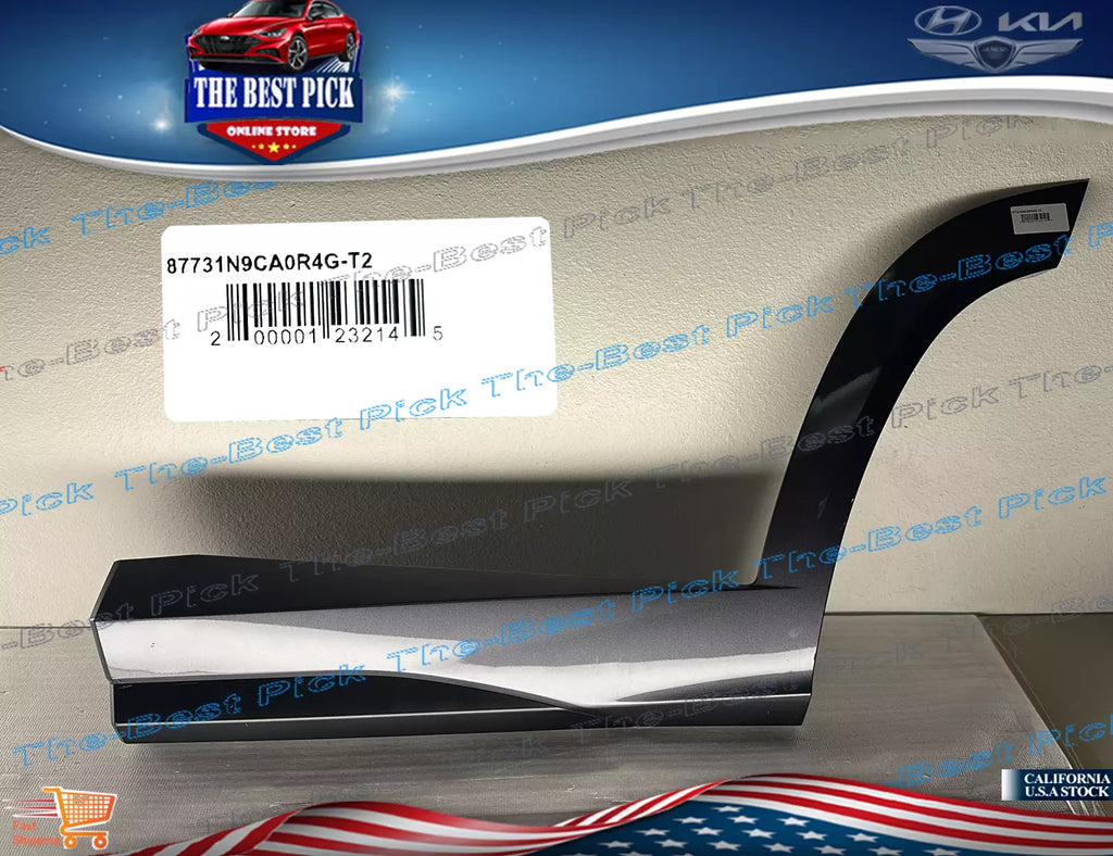 22-23 Tucson N-Line ⭐GENUINE⭐ REAR Door Lower Molding Left DRIVER 87731N9CA0 R4G