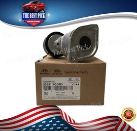 ⭐GENUINE⭐ Tensioner for 15-17 Santa Fe Sonata Optima Sorento Sportage 252812GGB3